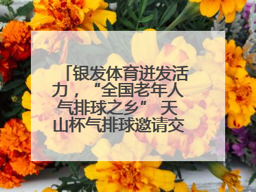 银发体育迸发活力，“全国老年人气排球之乡” 天山杯气排球邀请交流赛举行