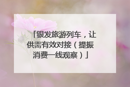 银发旅游列车，让供需有效对接（提振消费一线观察）