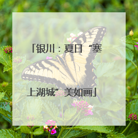 银川：夏日“塞上湖城”美如画