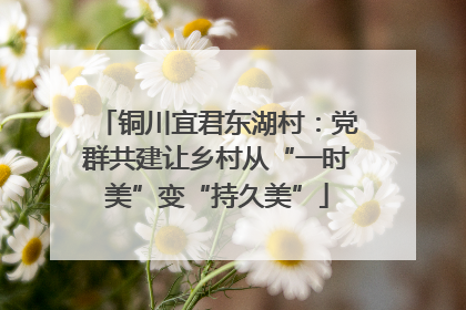 铜川宜君东湖村：党群共建让乡村从“一时美”变“持久美”