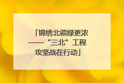 锦绣北疆绿更浓——“三北”工程攻坚战在行动