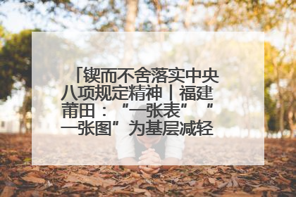 锲而不舍落实中央八项规定精神丨福建莆田：“一张表”“一张图”为基层减轻“数字负担”