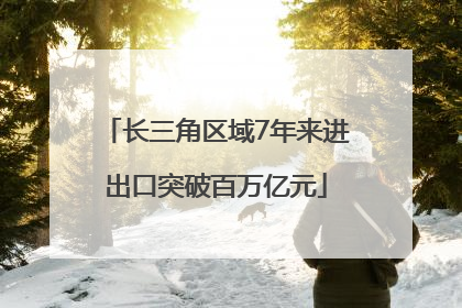 长三角区域7年来进出口突破百万亿元