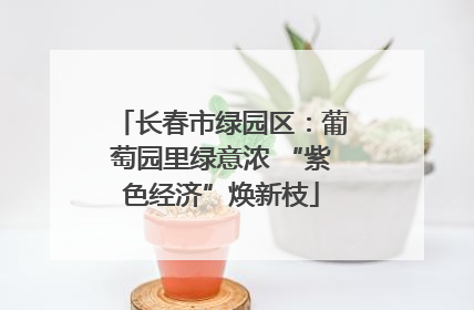 长春市绿园区：葡萄园里绿意浓 “紫色经济”焕新枝
