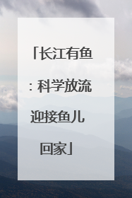 长江有鱼：科学放流 迎接鱼儿回家