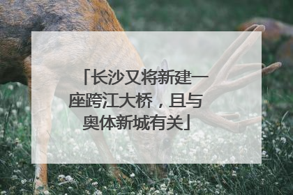 长沙又将新建一座跨江大桥，且与奥体新城有关