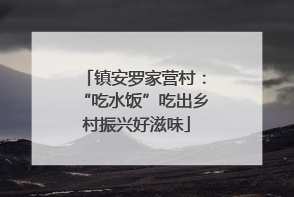 镇安罗家营村：“吃水饭”吃出乡村振兴好滋味