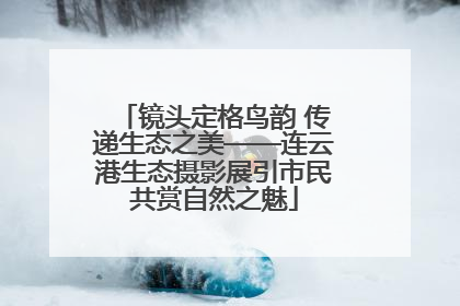 镜头定格鸟韵 传递生态之美——连云港生态摄影展引市民共赏自然之魅