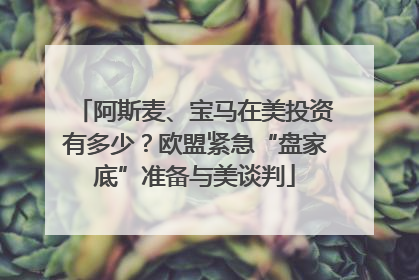 阿斯麦、宝马在美投资有多少？欧盟紧急“盘家底”准备与美谈判