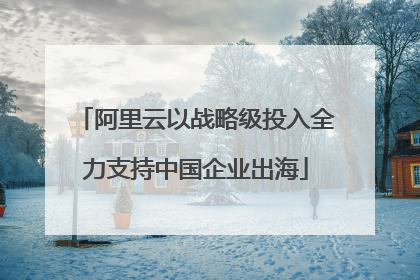 阿里云以战略级投入全力支持中国企业出海