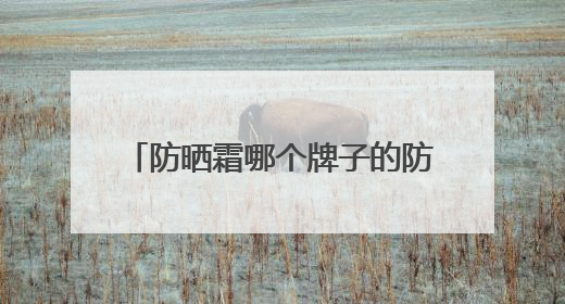 防晒霜哪个牌子的防晒效果好？硬核防晒霜推荐，效果惊艳