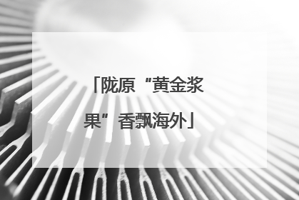 陇原“黄金浆果”香飘海外