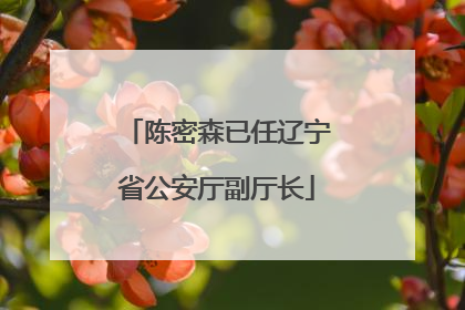 陈密森已任辽宁省公安厅副厅长