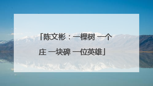 陈文彬：一棵树 一个庄 一块碑 一位英雄
