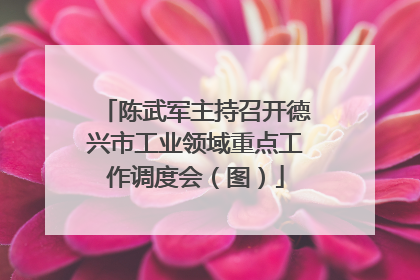 陈武军主持召开德兴市工业领域重点工作调度会（图）
