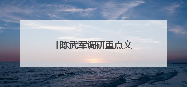 陈武军调研重点文旅项目推进情况
