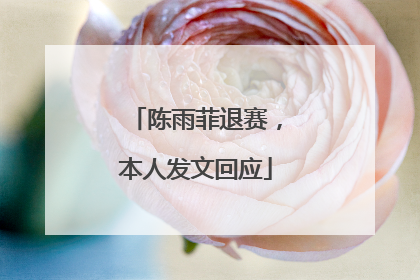 陈雨菲退赛，本人发文回应