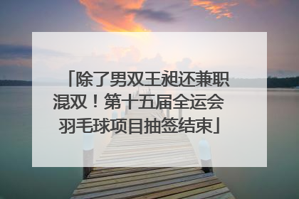 除了男双王昶还兼职混双！第十五届全运会羽毛球项目抽签结束