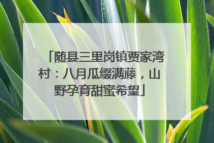 随县三里岗镇贾家湾村：八月瓜缀满藤，山野孕育甜蜜希望