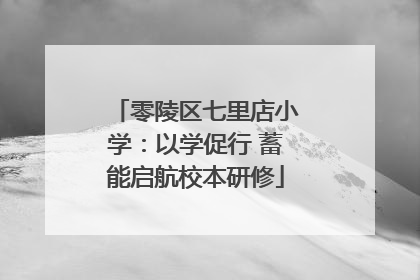 零陵区七里店小学：以学促行 蓄能启航校本研修