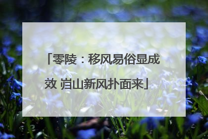 零陵：移风易俗显成效 岿山新风扑面来