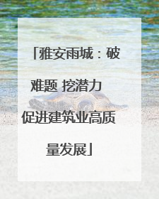雅安雨城：破难题 挖潜力 促进建筑业高质量发展