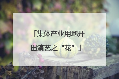 集体产业用地开出演艺之“花”