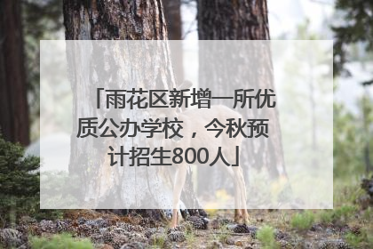 雨花区新增一所优质公办学校，今秋预计招生800人