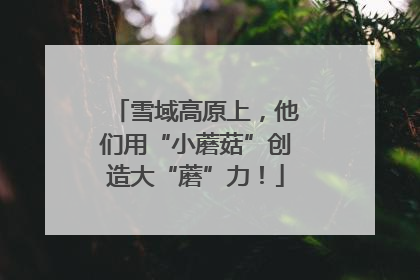 雪域高原上，他们用“小蘑菇”创造大“蘑”力！