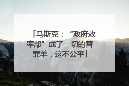 马斯克：“政府效率部”成了一切的替罪羊，这不公平