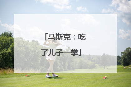 马斯克：吃了儿子一拳