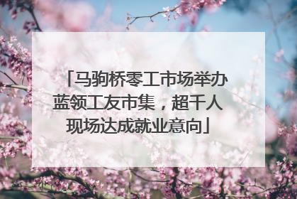 马驹桥零工市场举办蓝领工友市集，超千人现场达成就业意向