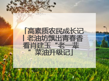 高素质农民成长记丨老油坊飘出青春香 看肖建玉“老一辈”菜油升级记