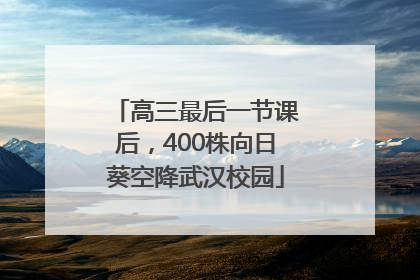 高三最后一节课后，400株向日葵空降武汉校园