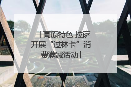 高原特色 拉萨开展“过林卡”消费满减活动