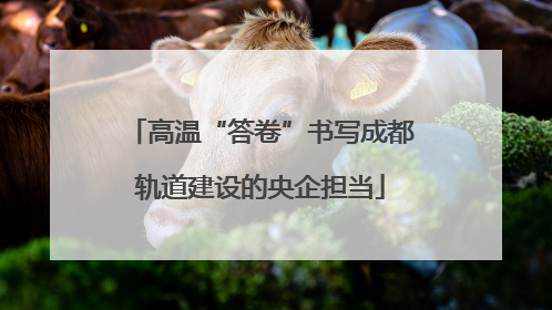 高温“答卷”书写成都轨道建设的央企担当
