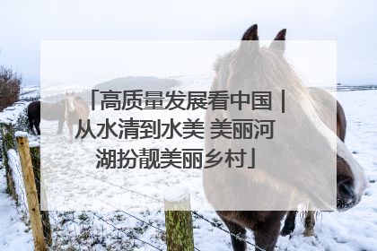 高质量发展看中国｜从水清到水美 美丽河湖扮靓美丽乡村
