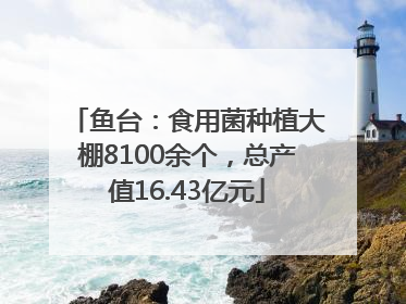 鱼台：食用菌种植大棚8100余个，总产值16.43亿元