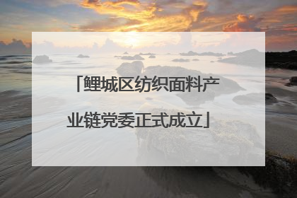 鲤城区纺织面料产业链党委正式成立