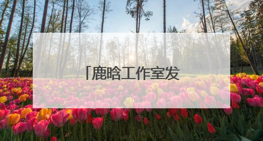 鹿晗工作室发布郑重声明