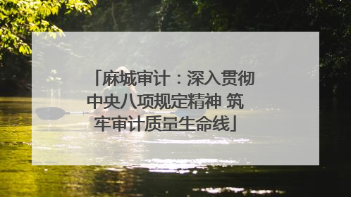 麻城审计：深入贯彻中央八项规定精神 筑牢审计质量生命线