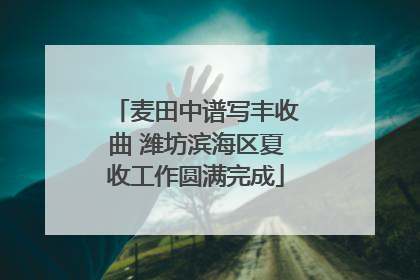 麦田中谱写丰收曲 潍坊滨海区夏收工作圆满完成