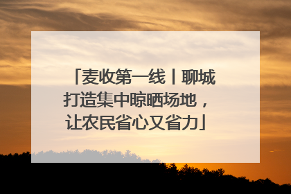 麦收第一线丨聊城打造集中晾晒场地，让农民省心又省力
