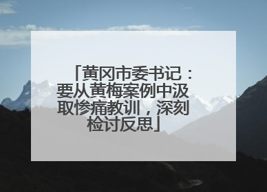 黄冈市委书记：要从黄梅案例中汲取惨痛教训，深刻检讨反思