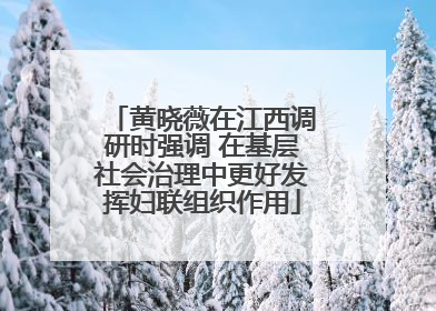 黄晓薇在江西调研时强调 在基层社会治理中更好发挥妇联组织作用