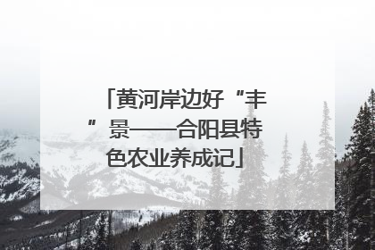 黄河岸边好“丰”景——合阳县特色农业养成记