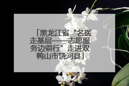 黑龙江省“名医走基层——志愿服务边疆行”走进双鸭山市饶河县