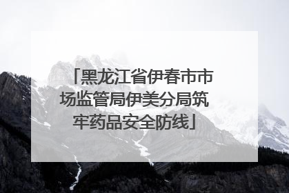 黑龙江省伊春市市场监管局伊美分局筑牢药品安全防线