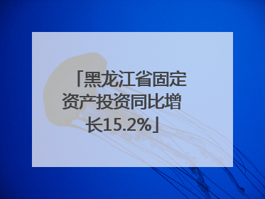 黑龙江省固定资产投资同比增长15.2%