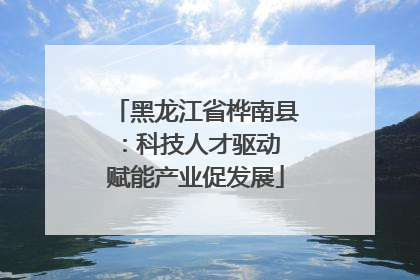黑龙江省桦南县：科技人才驱动 赋能产业促发展